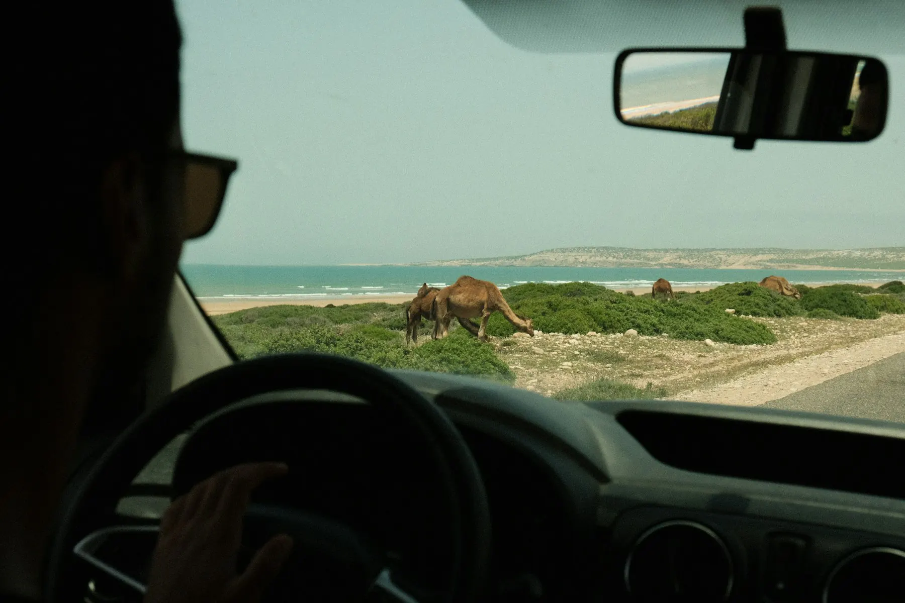 Driving along the Atlantic coast of Morocco, ocean beyond the windscreen
