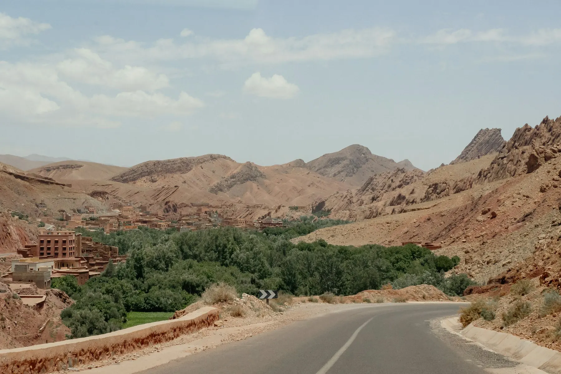 A road curving into a palm-filled valley between red rock walls