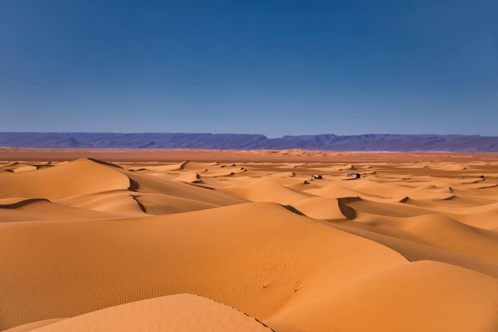 Rally car crossing the Sahara near M'hamid El Ghizlane, Morocco